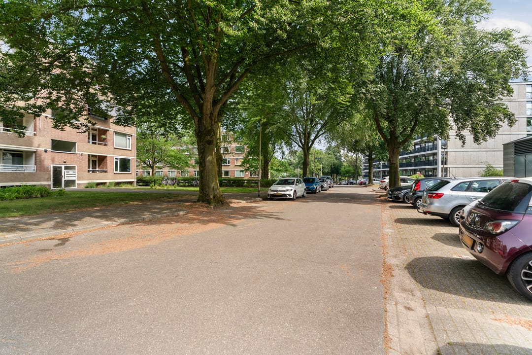 Photo 38 of Rentmeesterlaan 8