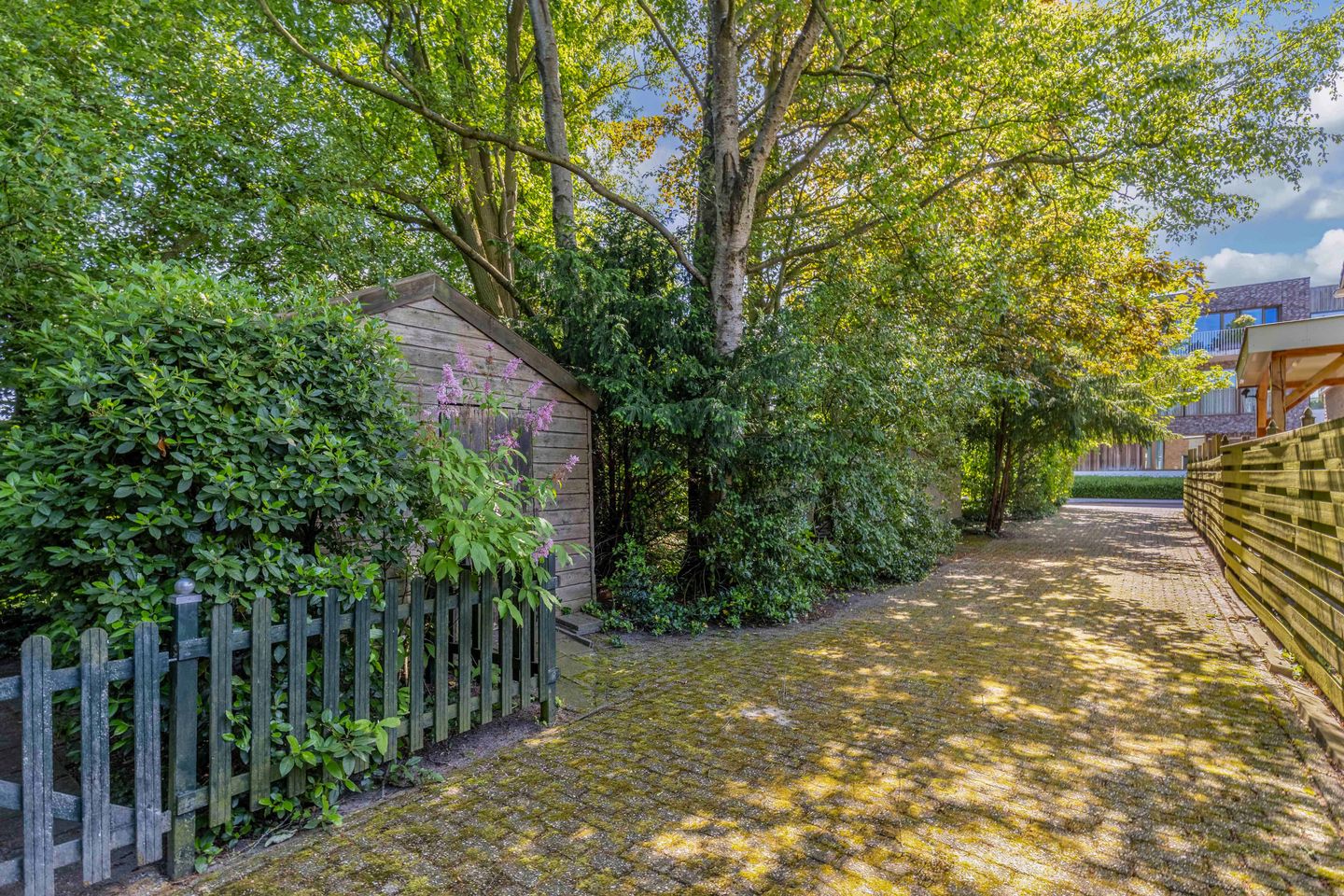 Photo 55 of Steenwijkerweg 26
