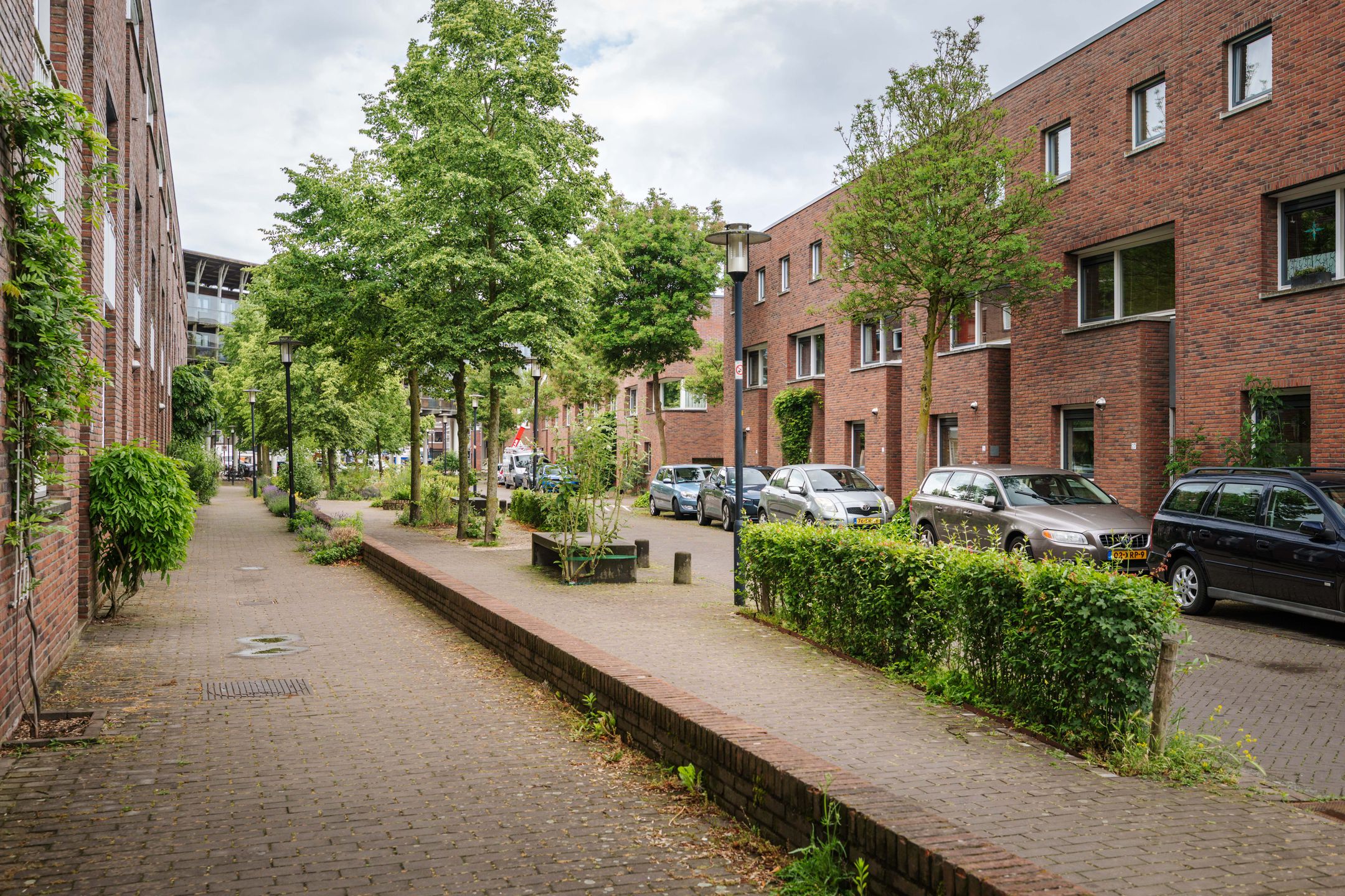 Photo 30 of Nieuwe Rij 30