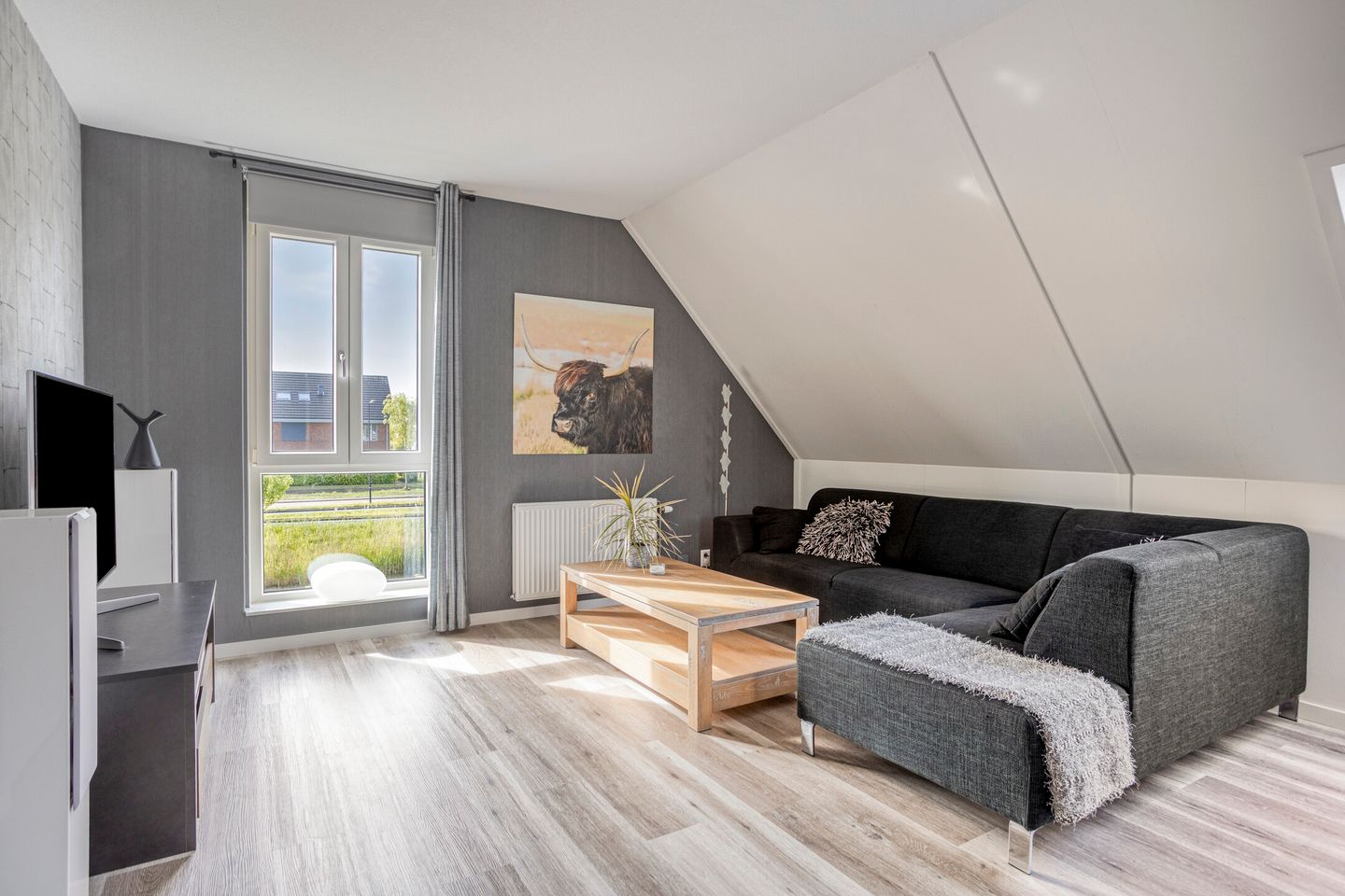 Photo 34 of Kabeljauw 16