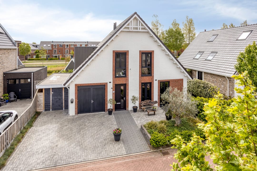 Photo 47 of Kabeljauw 16