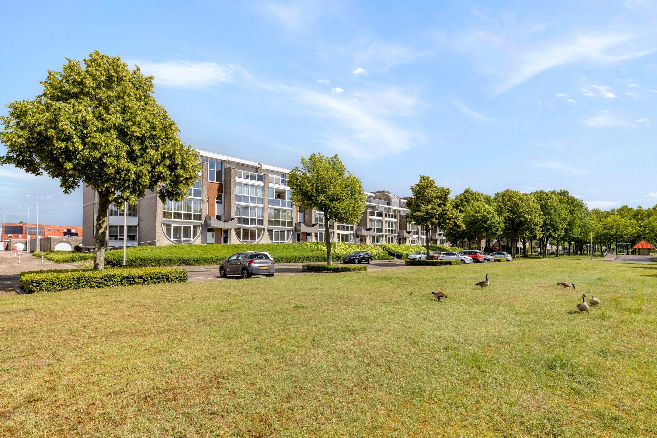 Haringstraat 2