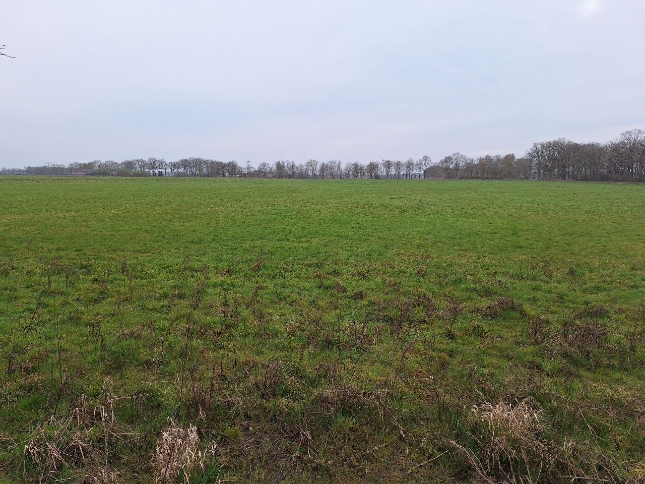 Bekijk foto 3 van Kokmeeuwenweg