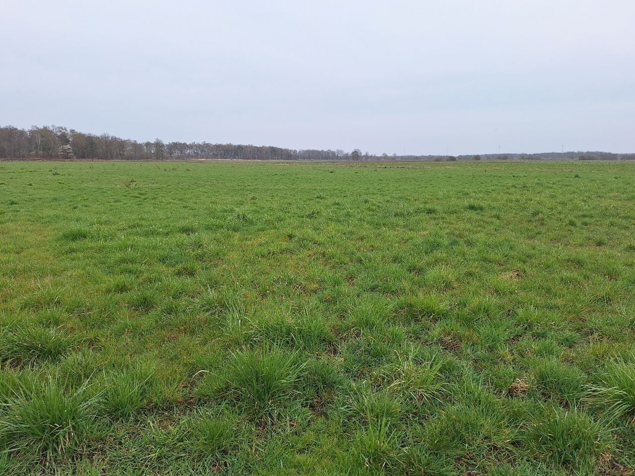 Kokmeeuwenweg - Heusden (Gem. Asten) - Afbeelding 7