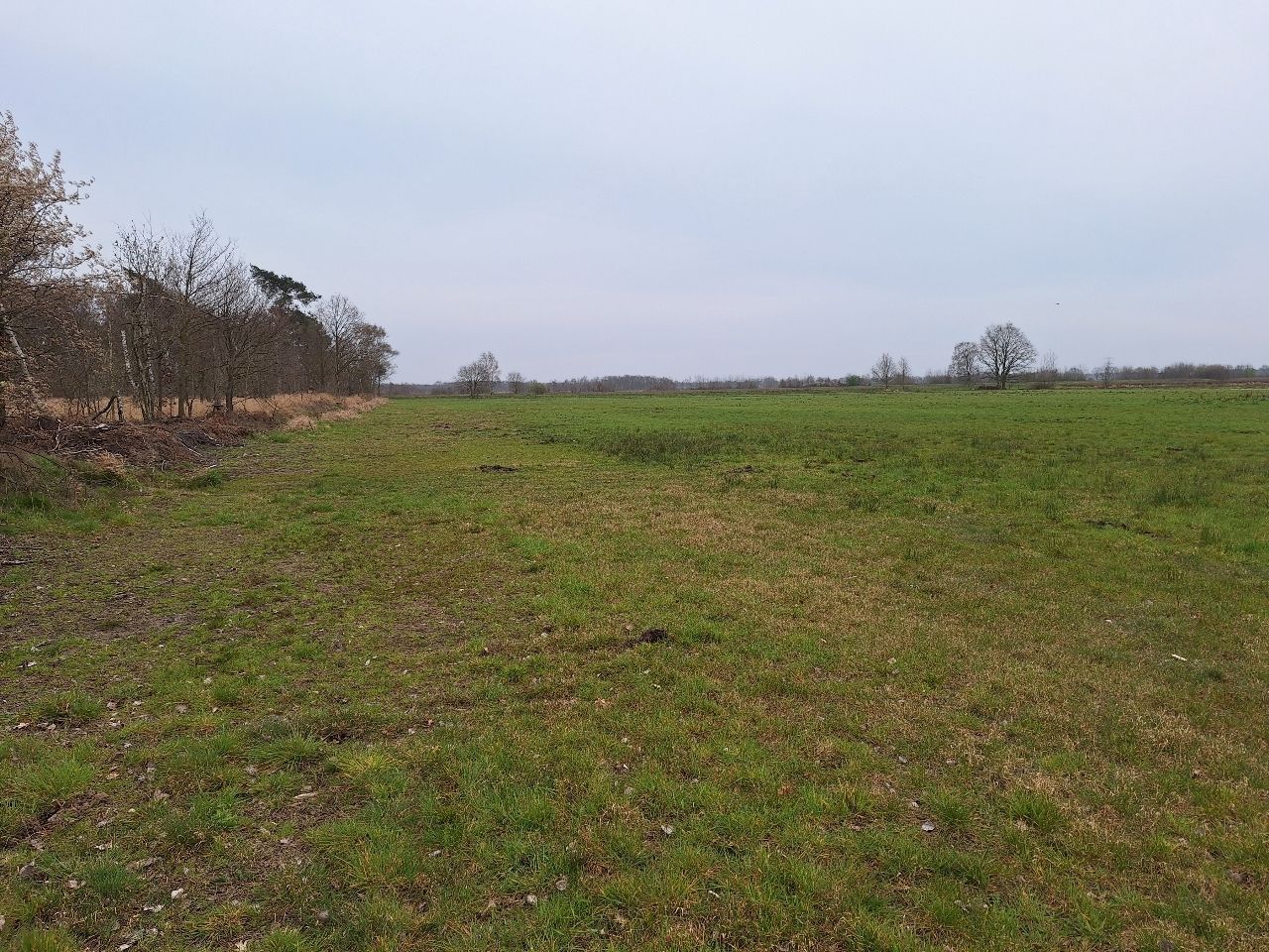 Bekijk foto 5 van Kokmeeuwenweg