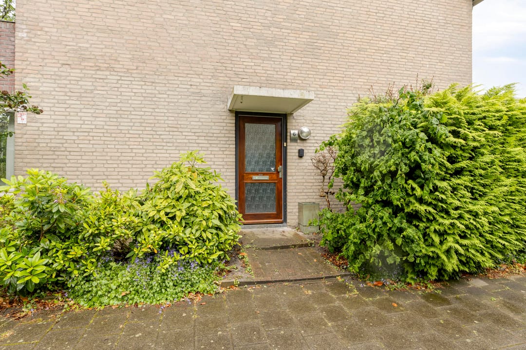 Photo 7 of Novapad 6