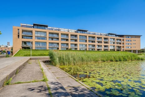Zwaardvegerstraat thumbnail