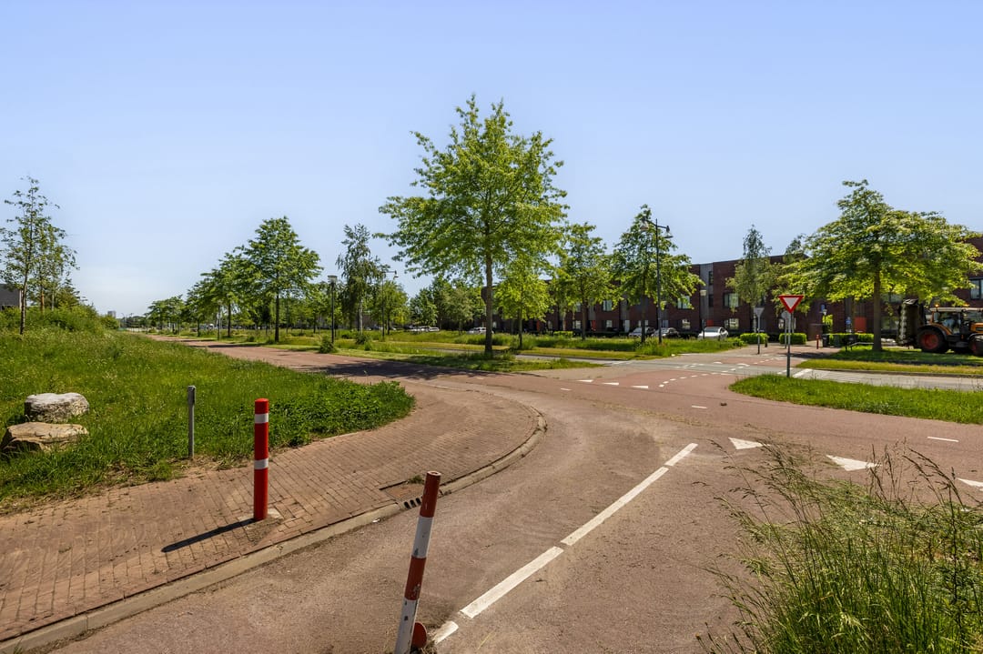 Foto 47 van Grasbloem 10-A