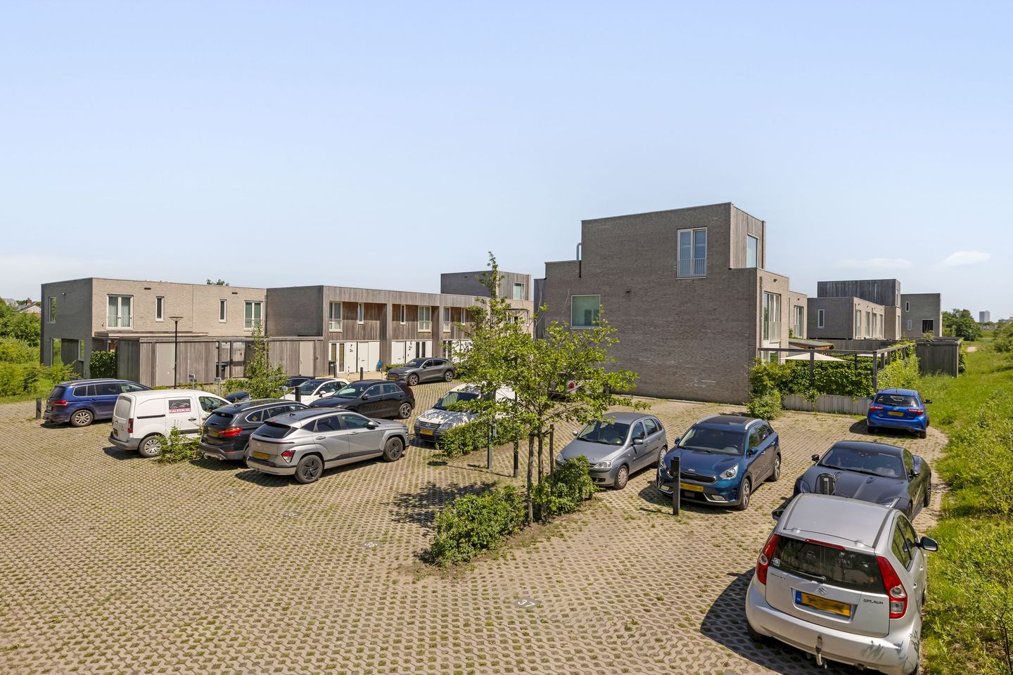 Foto 44 van Grasbloem 10-A