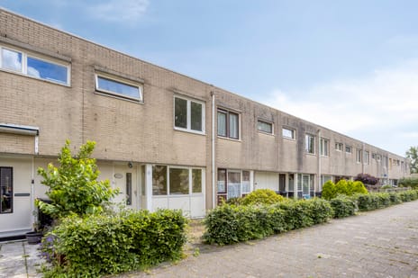 Zonnebloemweg thumbnail