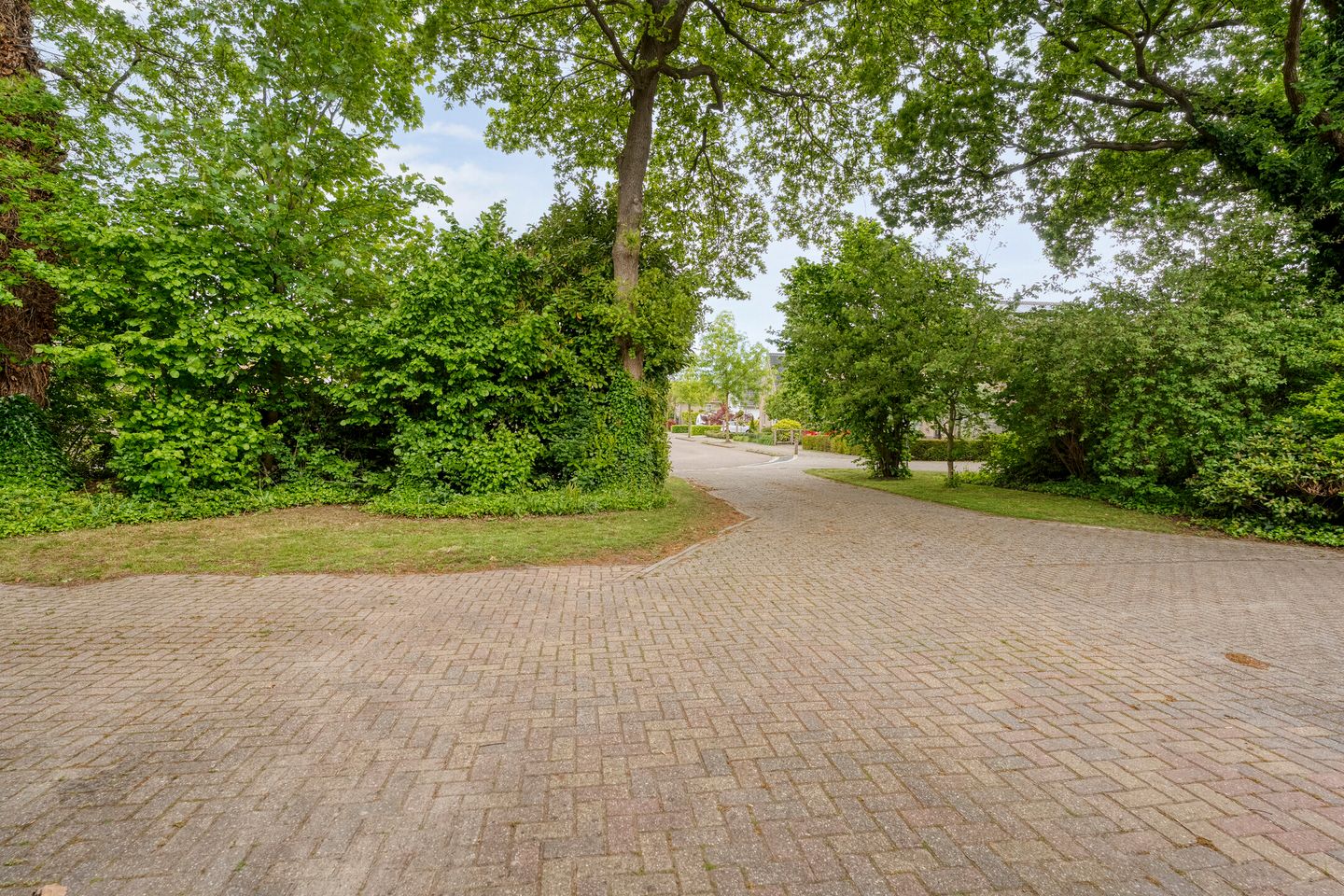 Photo 5 of Markerichter 50