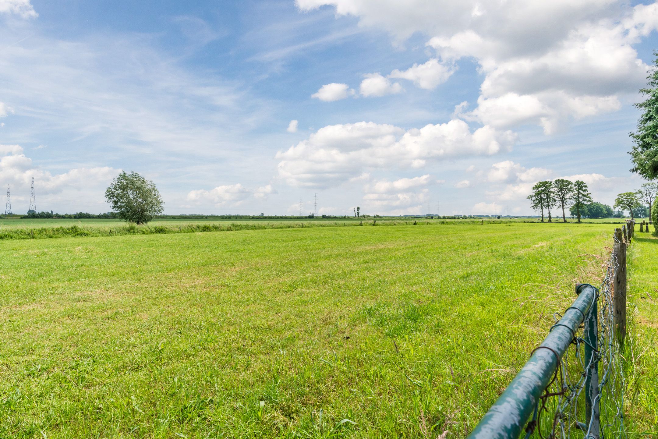 Photo 48 of de Wangen 4