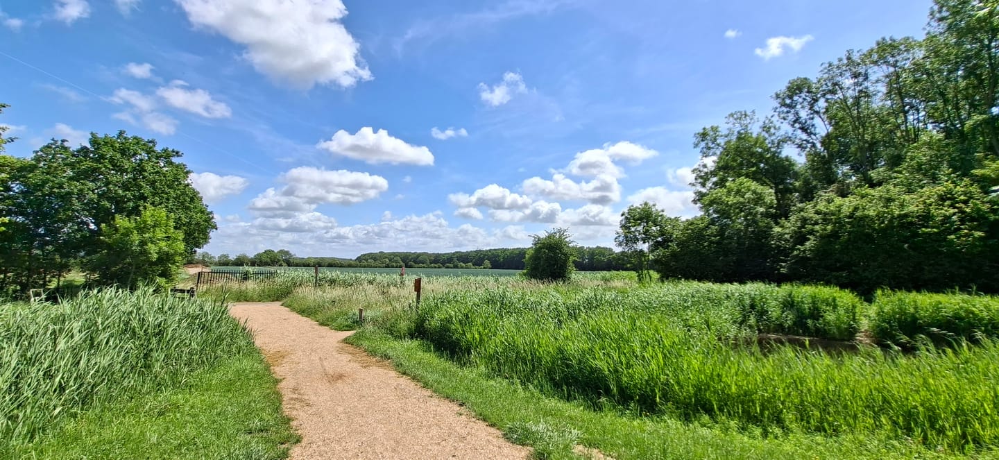 Foto 44 van Wissekerkseweg 4-E