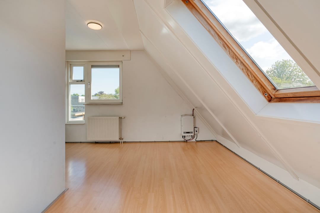 Foto 43 van Zomer 62