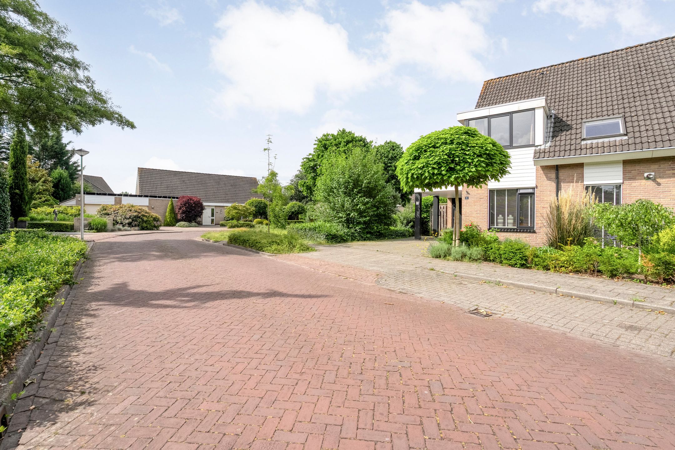 Foto 48 van Anemoon 1