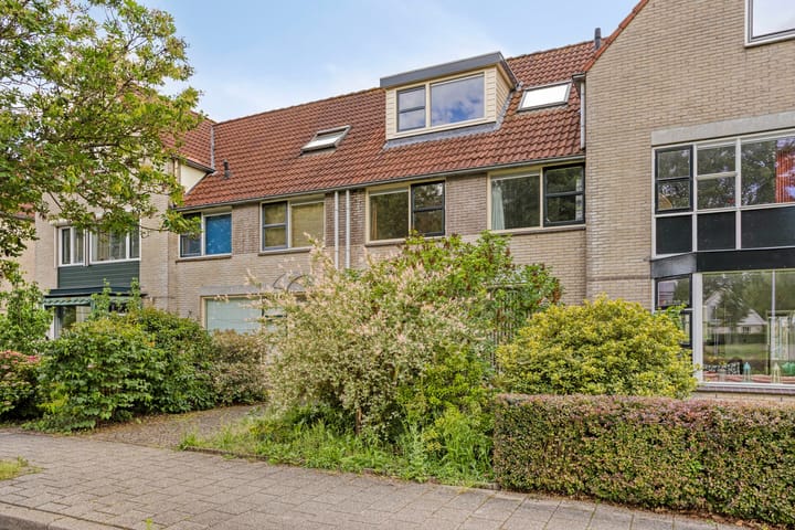 Foto 4 van Bosbes 4