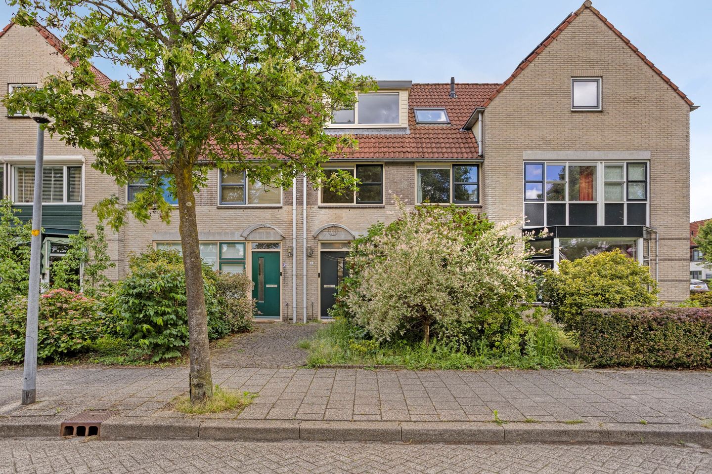 Foto 1 van Bosbes 4