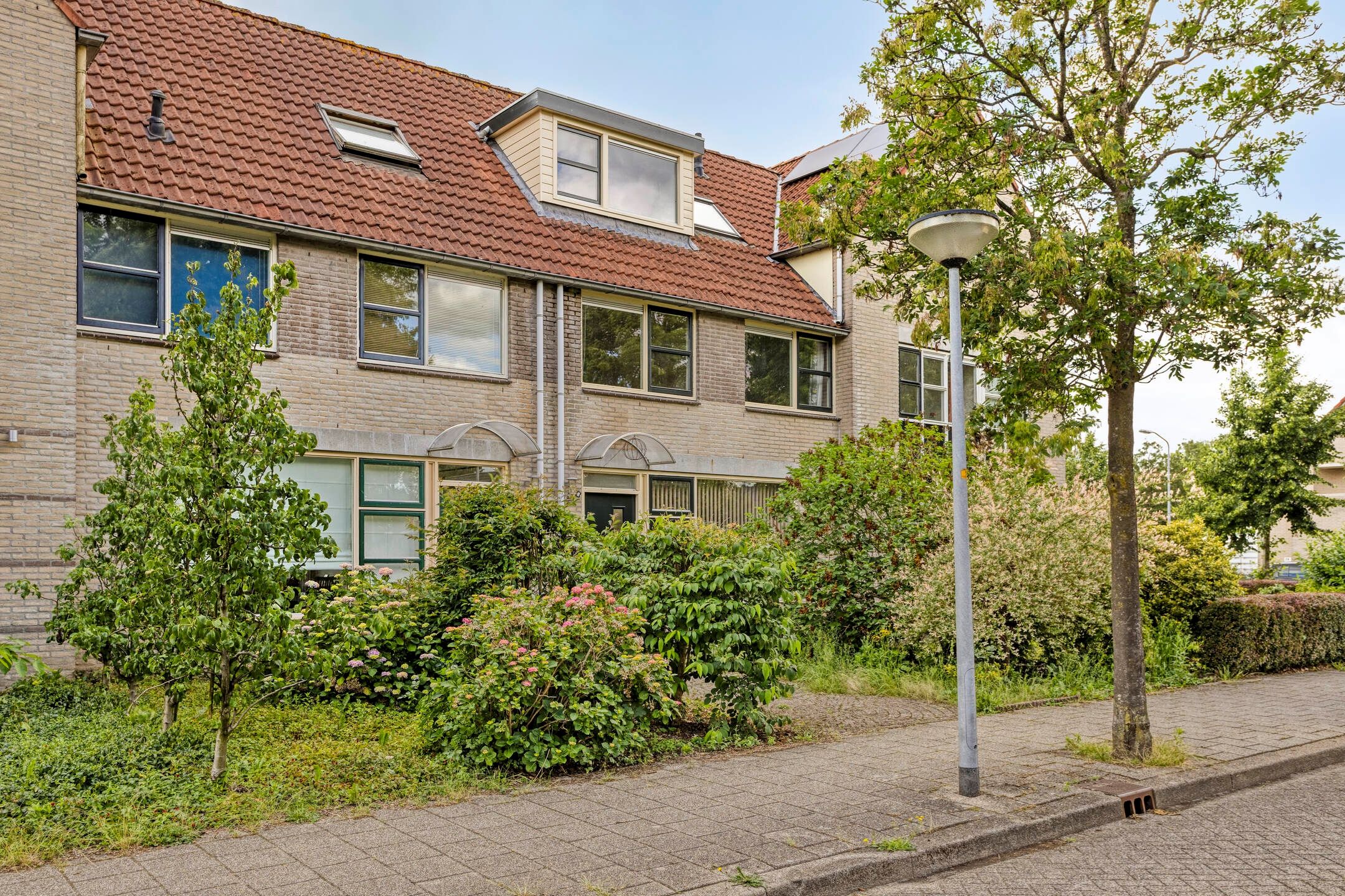 Foto 6 van Bosbes 4