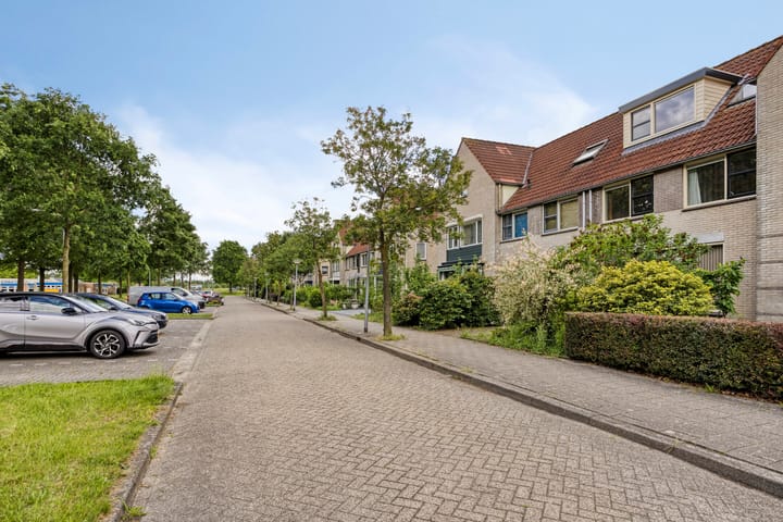Foto 5 van Bosbes 4