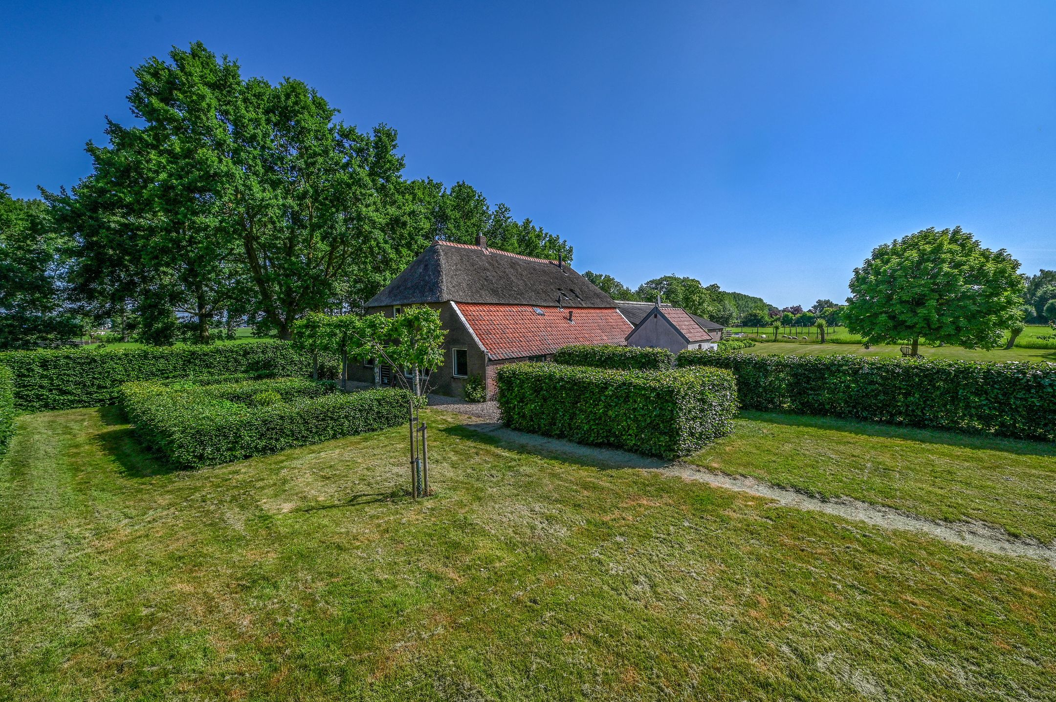 Rijnsteeg 2 
