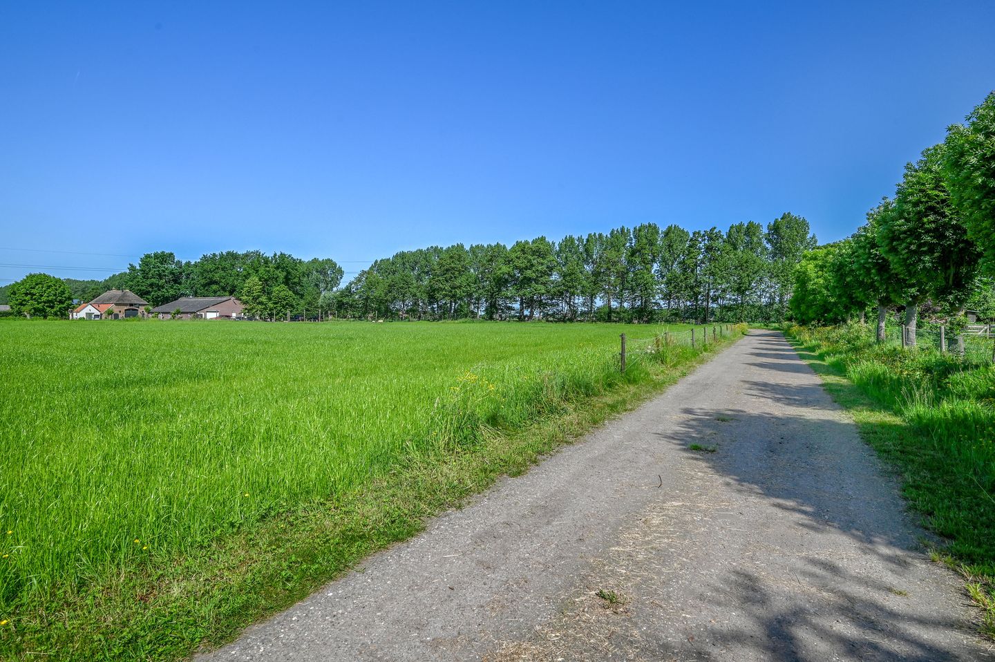 Foto 5 van Rijnsteeg 2