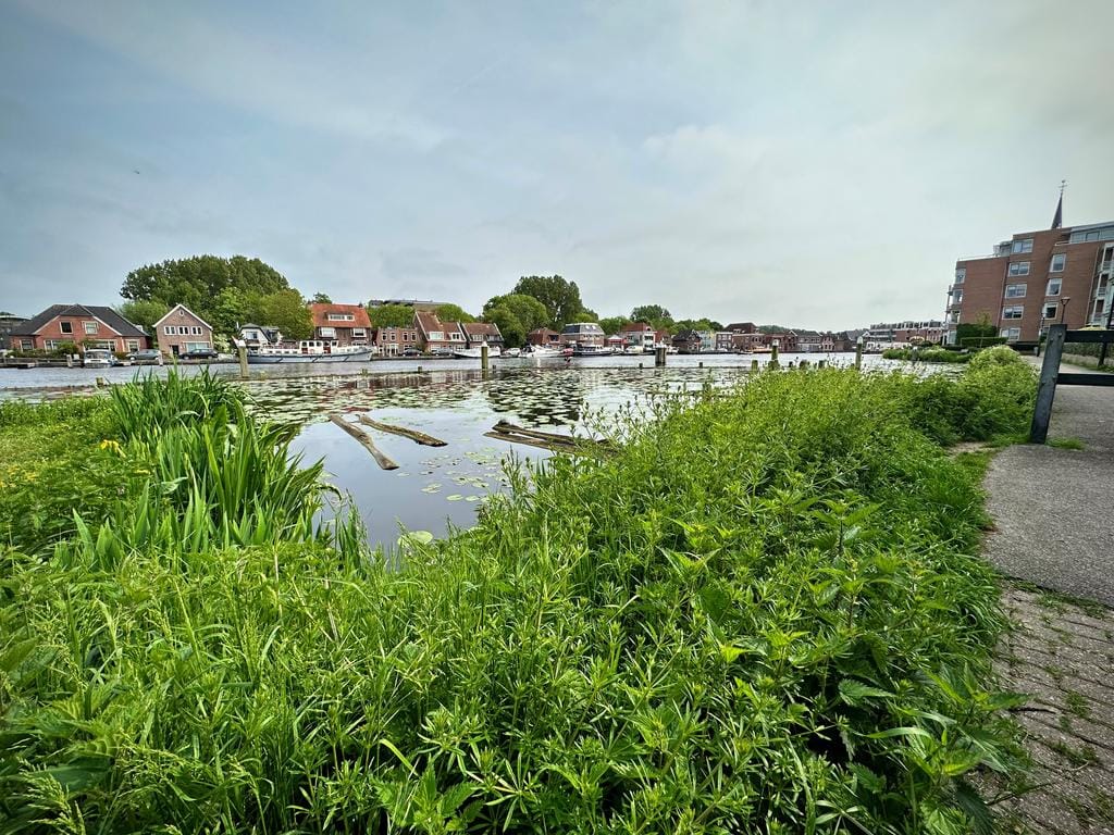 Foto 46 van Schoorlaan 45