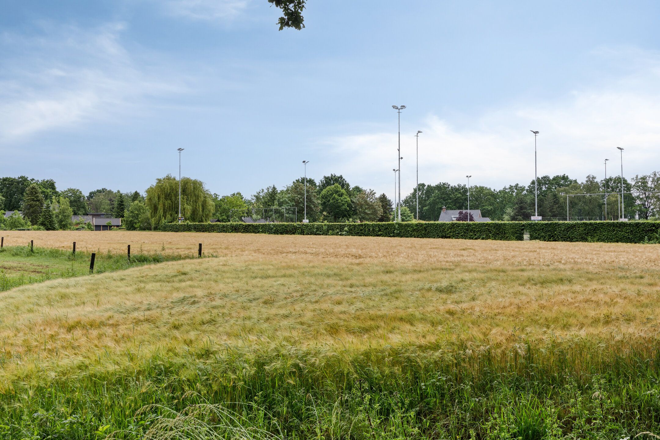 Foto 42 van Kleijne Hove 26