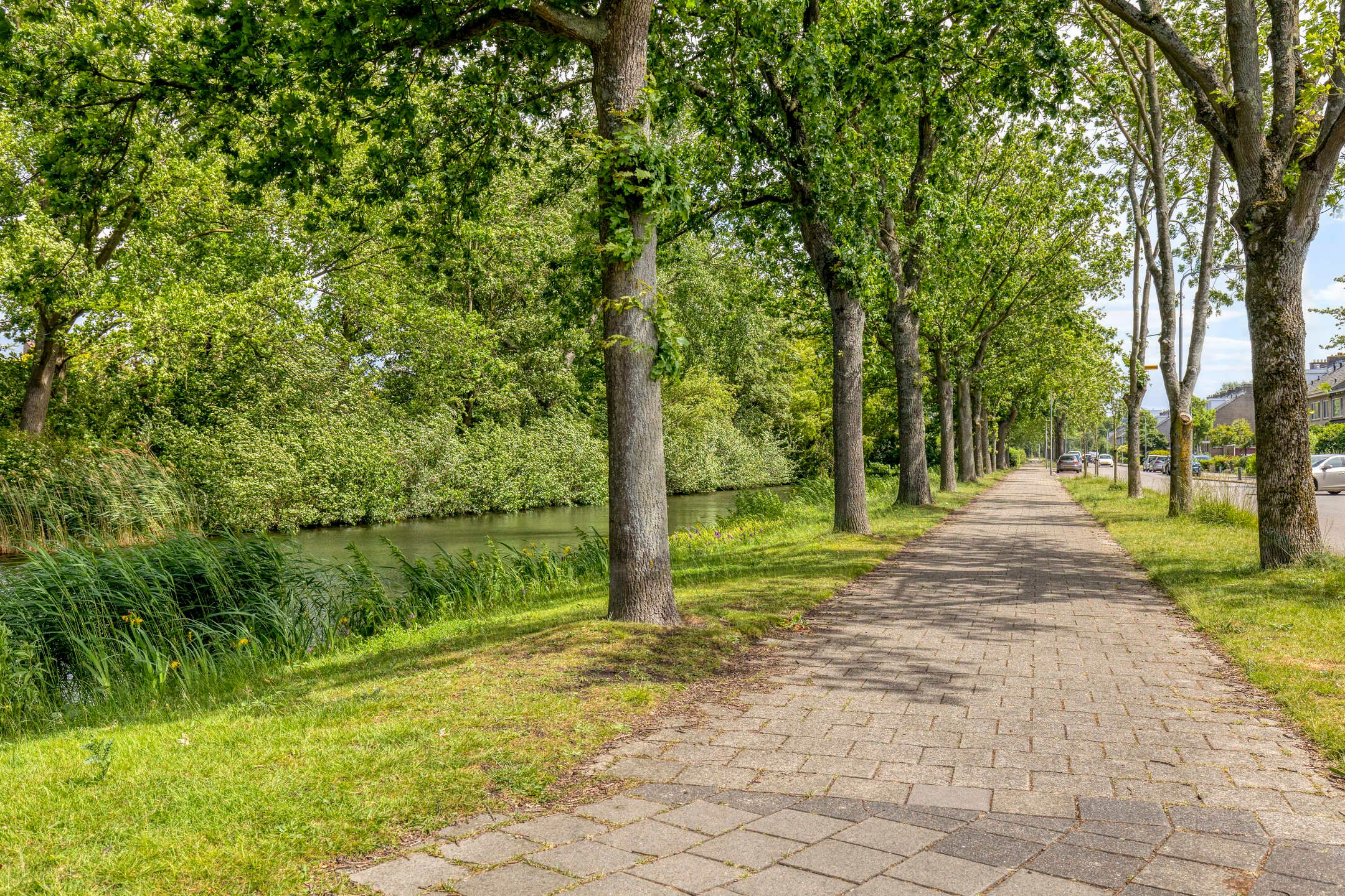 Photo 57 of Molenweide 62