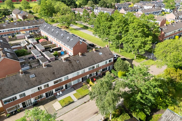 Foto 4 van IJsvogel 64