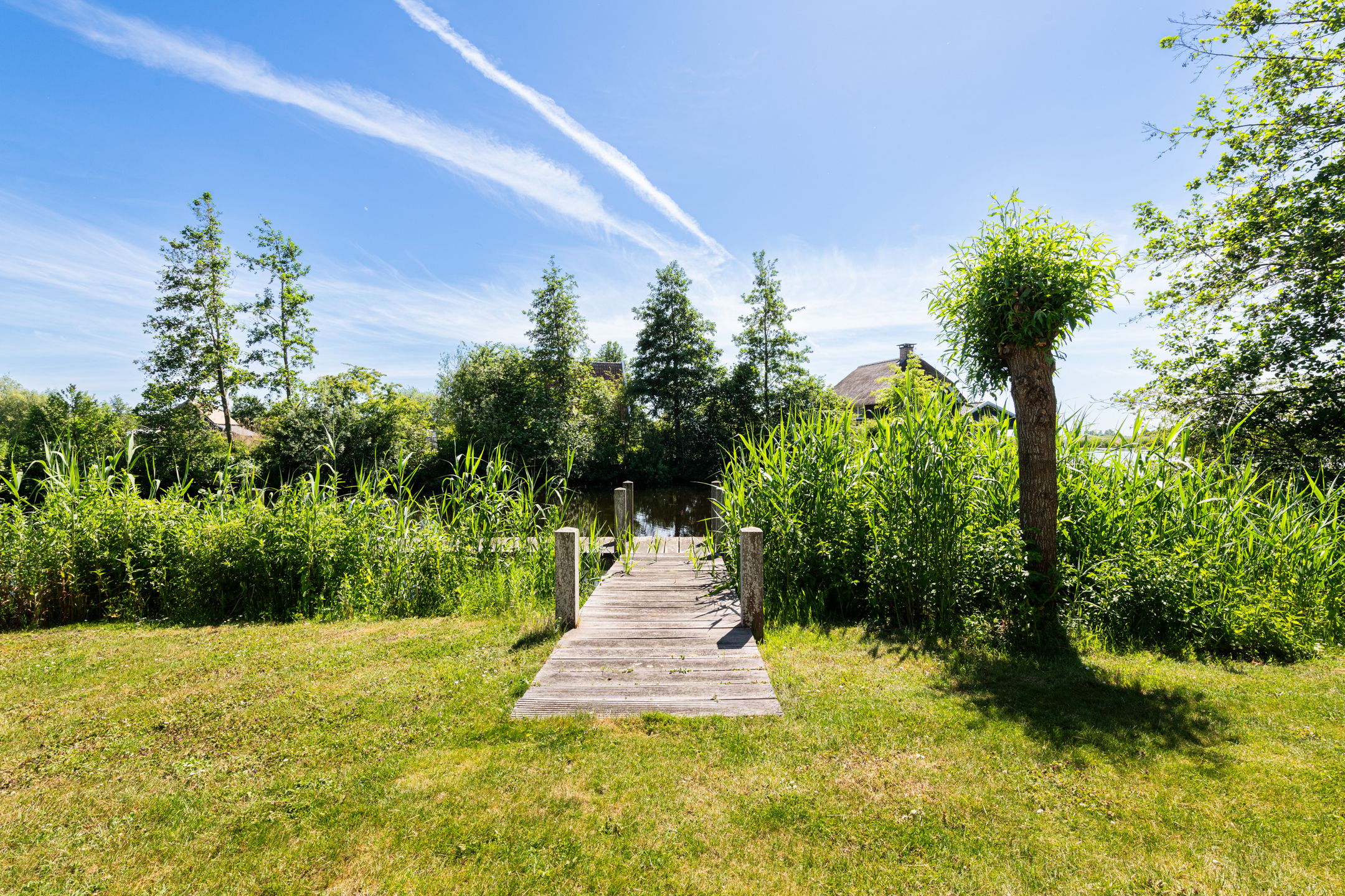 3-bedroom freehold villa in Giethoorn — photo 4 of 5