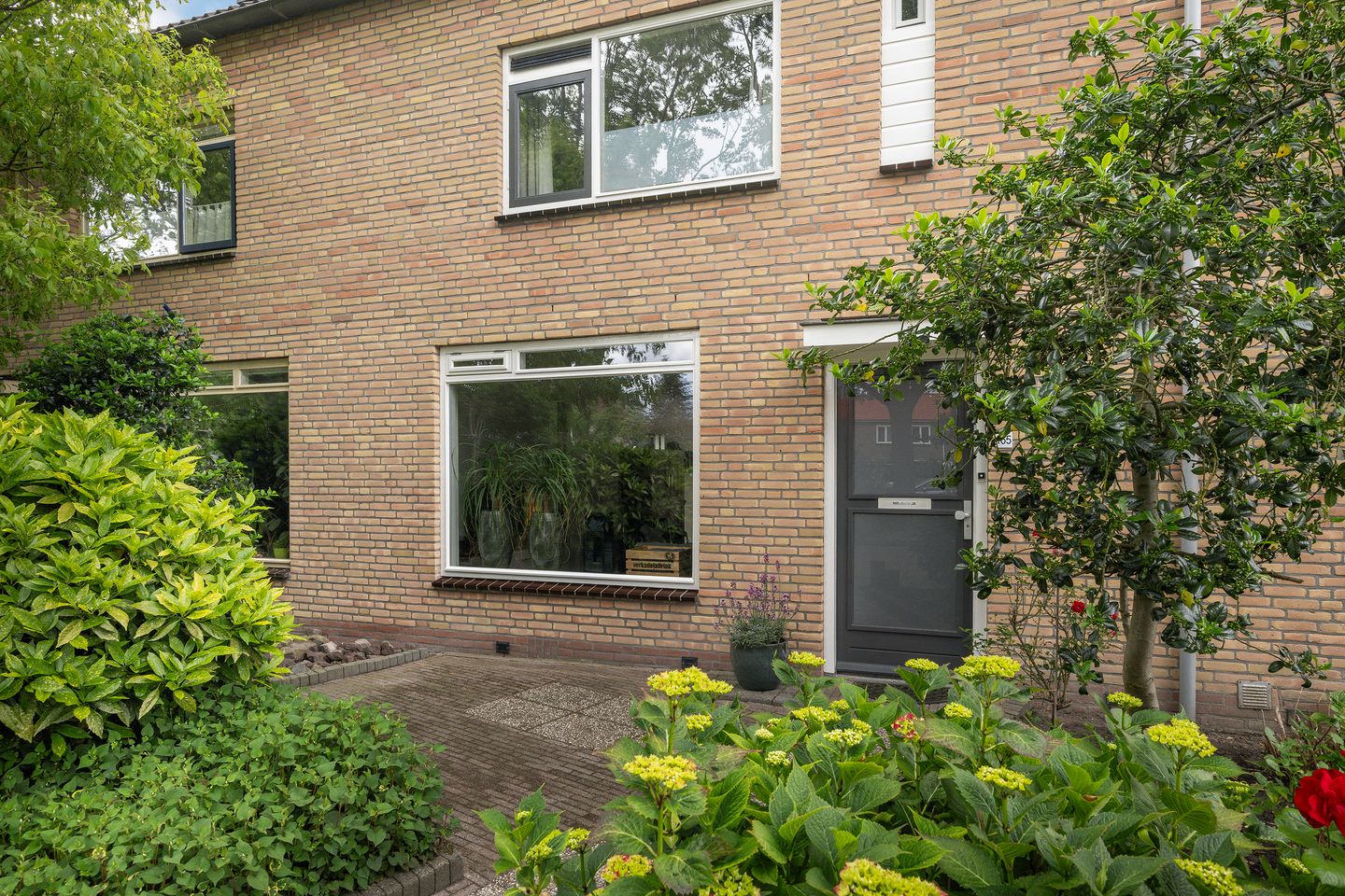 Foto 44 van Druivenstraat 165