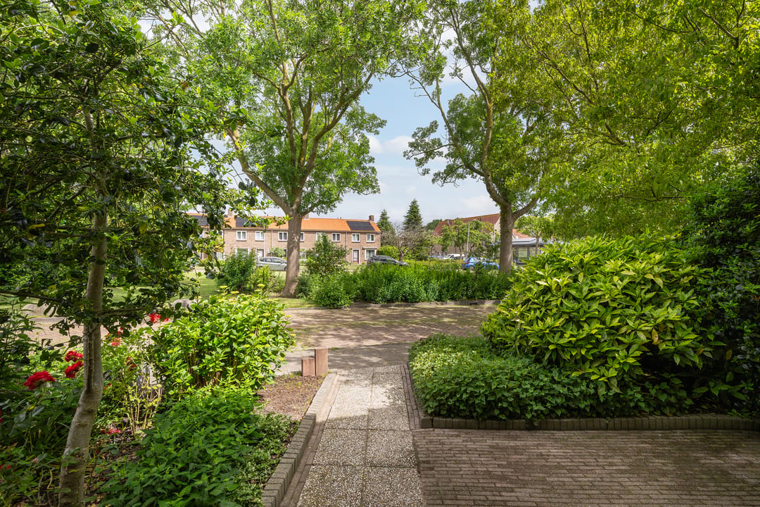 Foto 46 van Druivenstraat 165