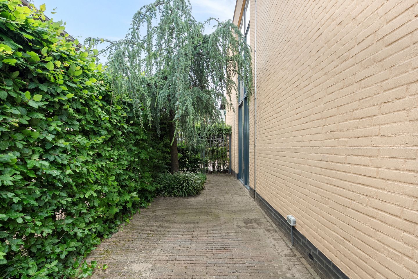 Photo 55 of Ruyshaven 6