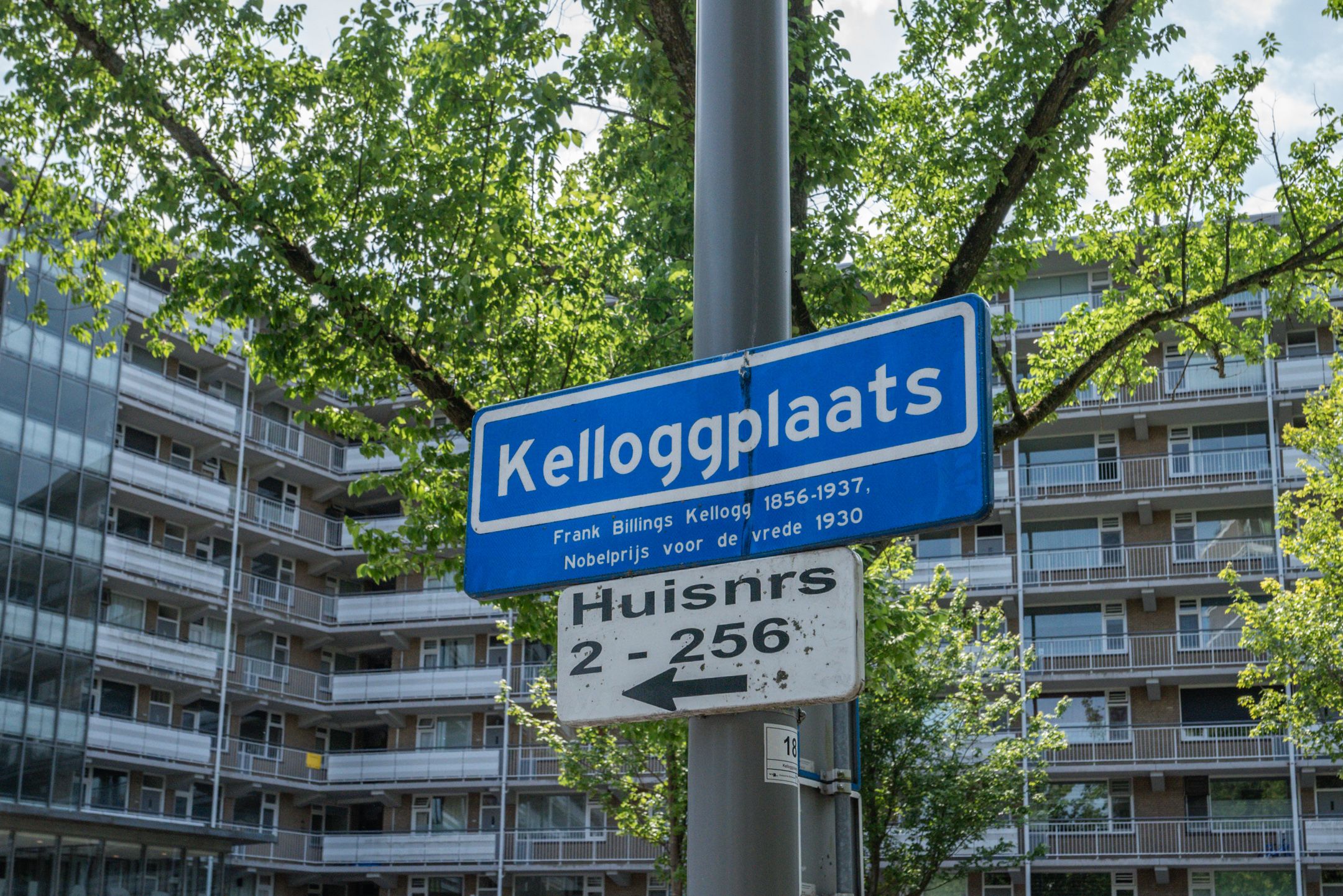 Foto 42 van Kelloggplaats 230