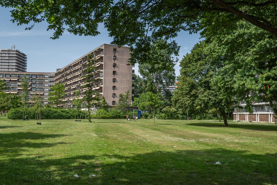 Foto 41 van Kelloggplaats 230