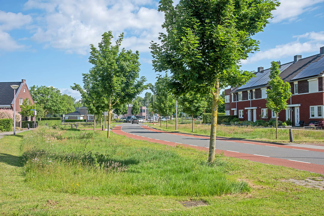 Photo 28 of Bereklauw 17