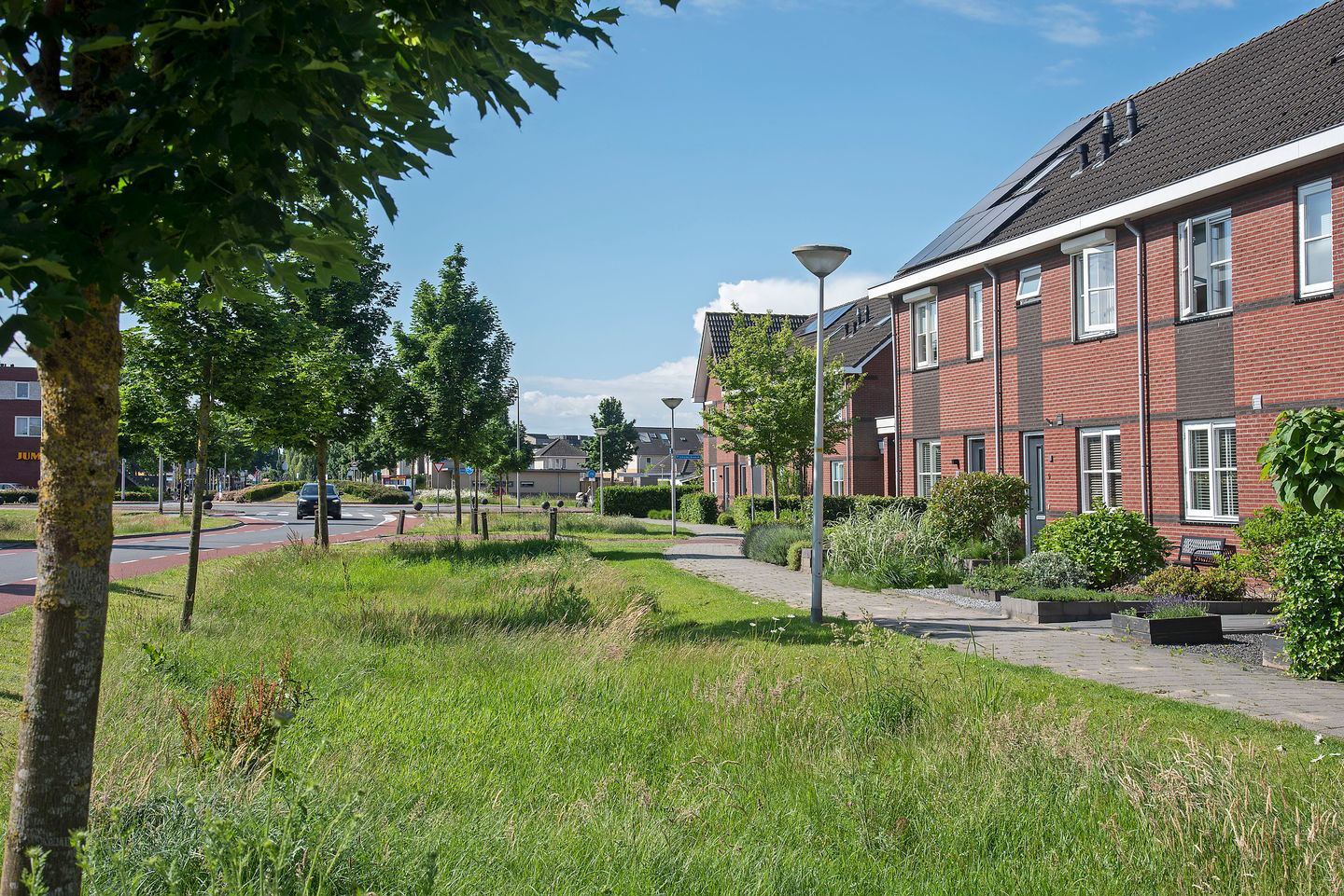 Photo 29 of Bereklauw 17