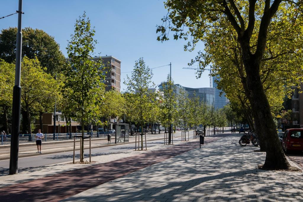 Foto 42 van Evert Cornelisstraat 9-4