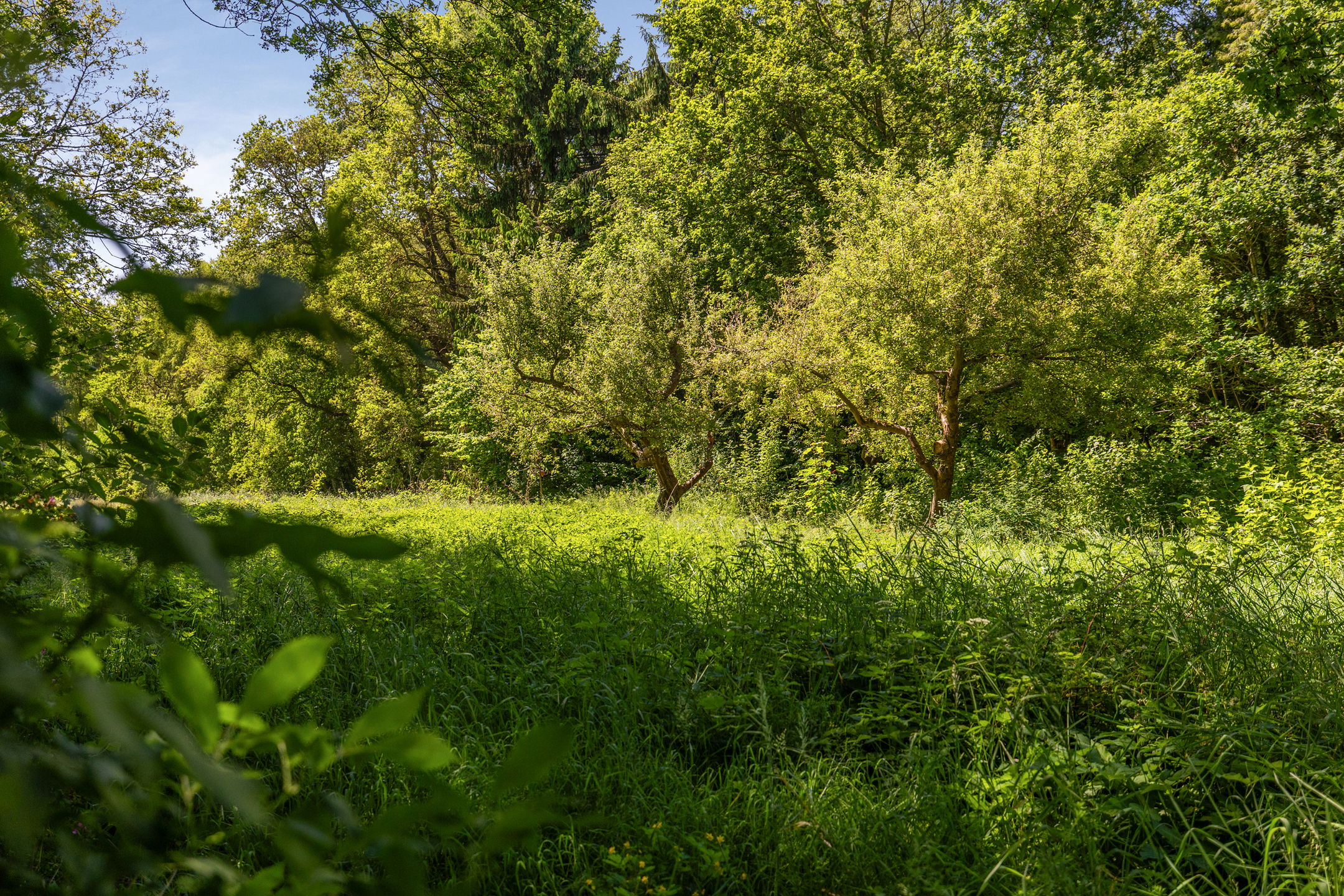 Photo 63 of Berkenlaan 18