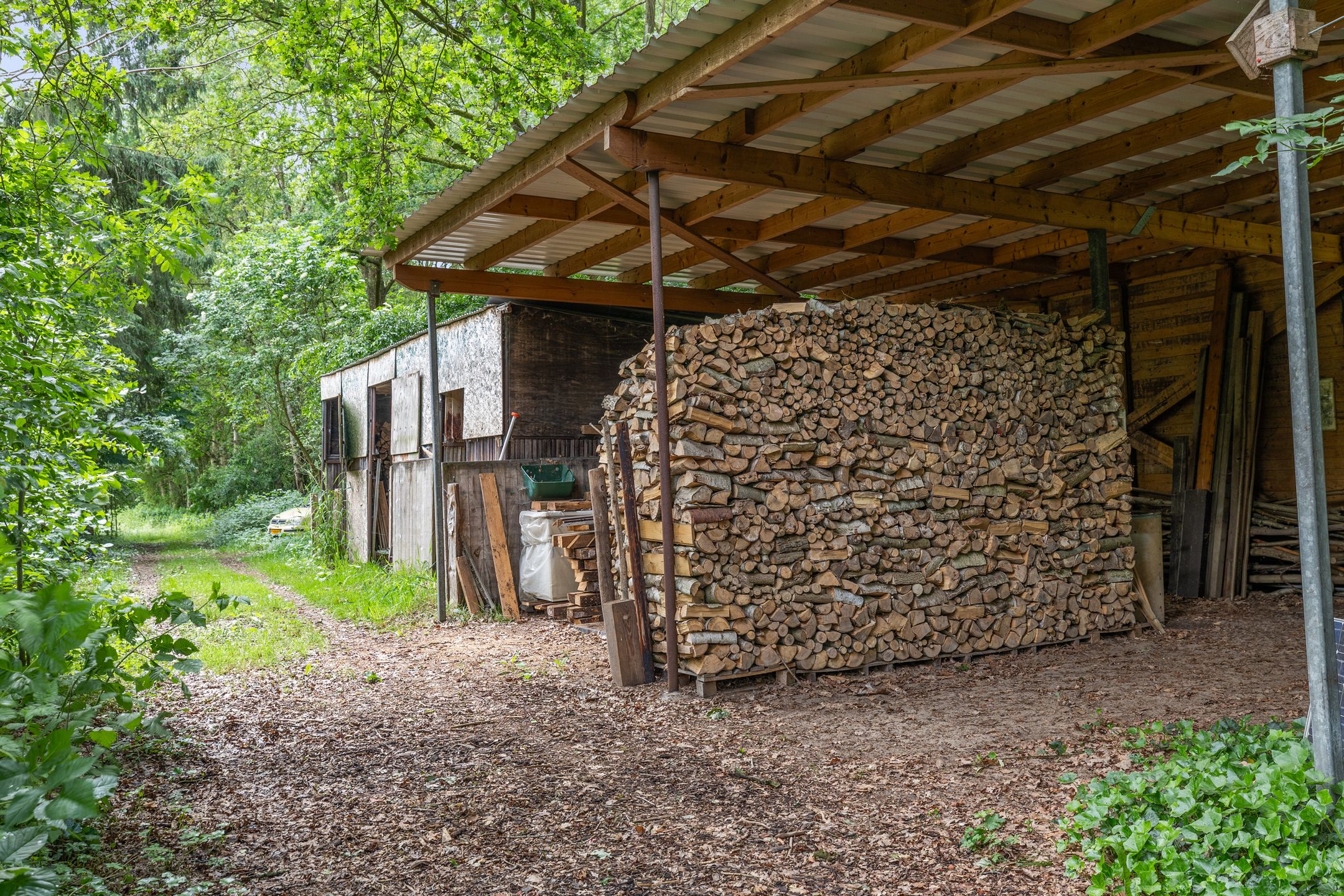 Photo 81 of Berkenlaan 18