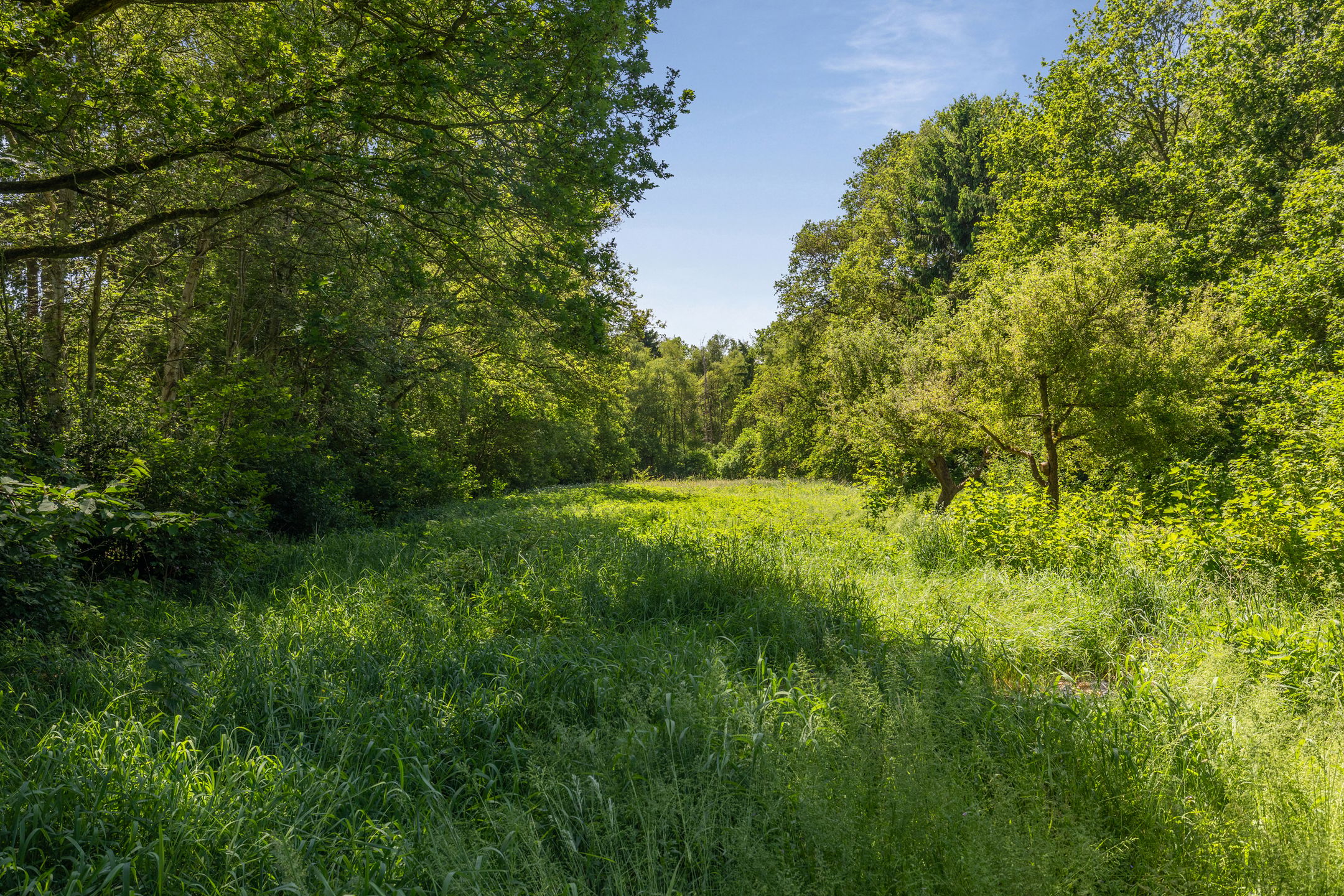 Photo 60 of Berkenlaan 18