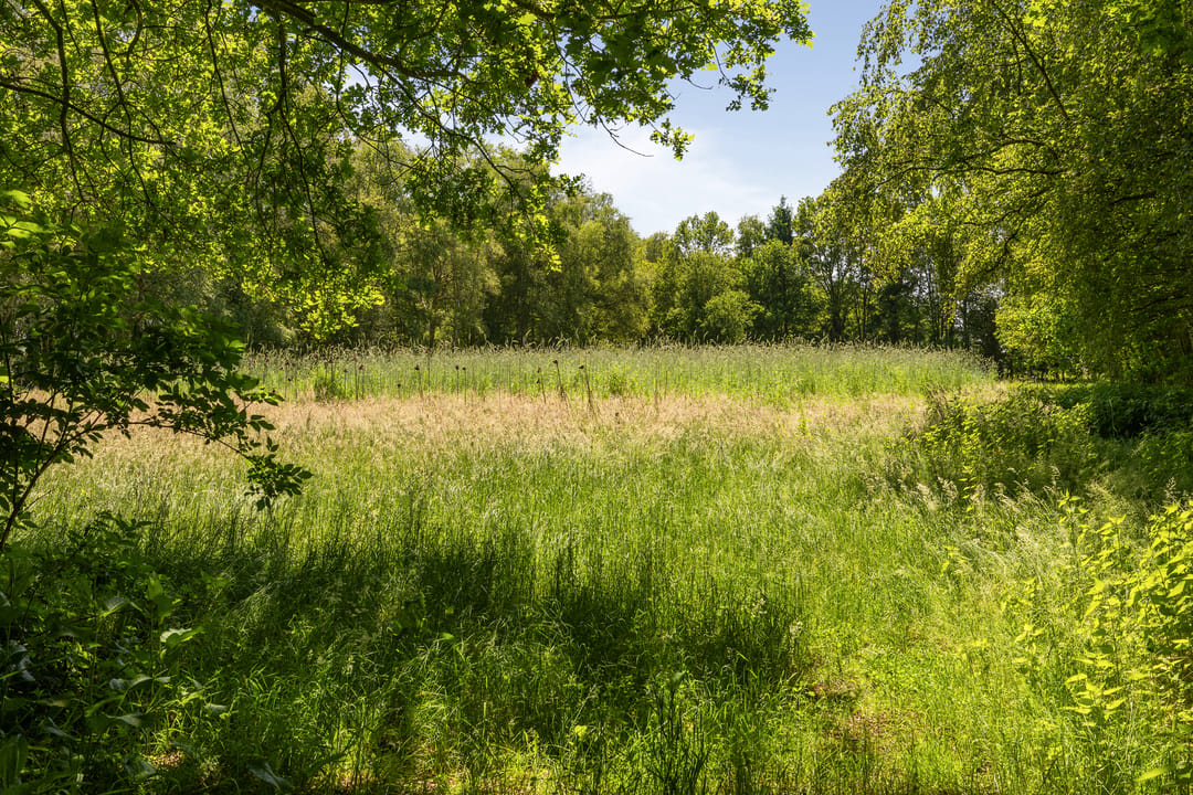 Photo 76 of Berkenlaan 18
