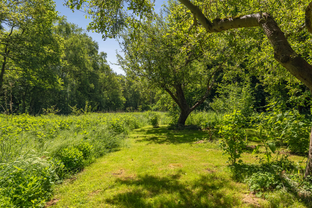 Photo 56 of Berkenlaan 18