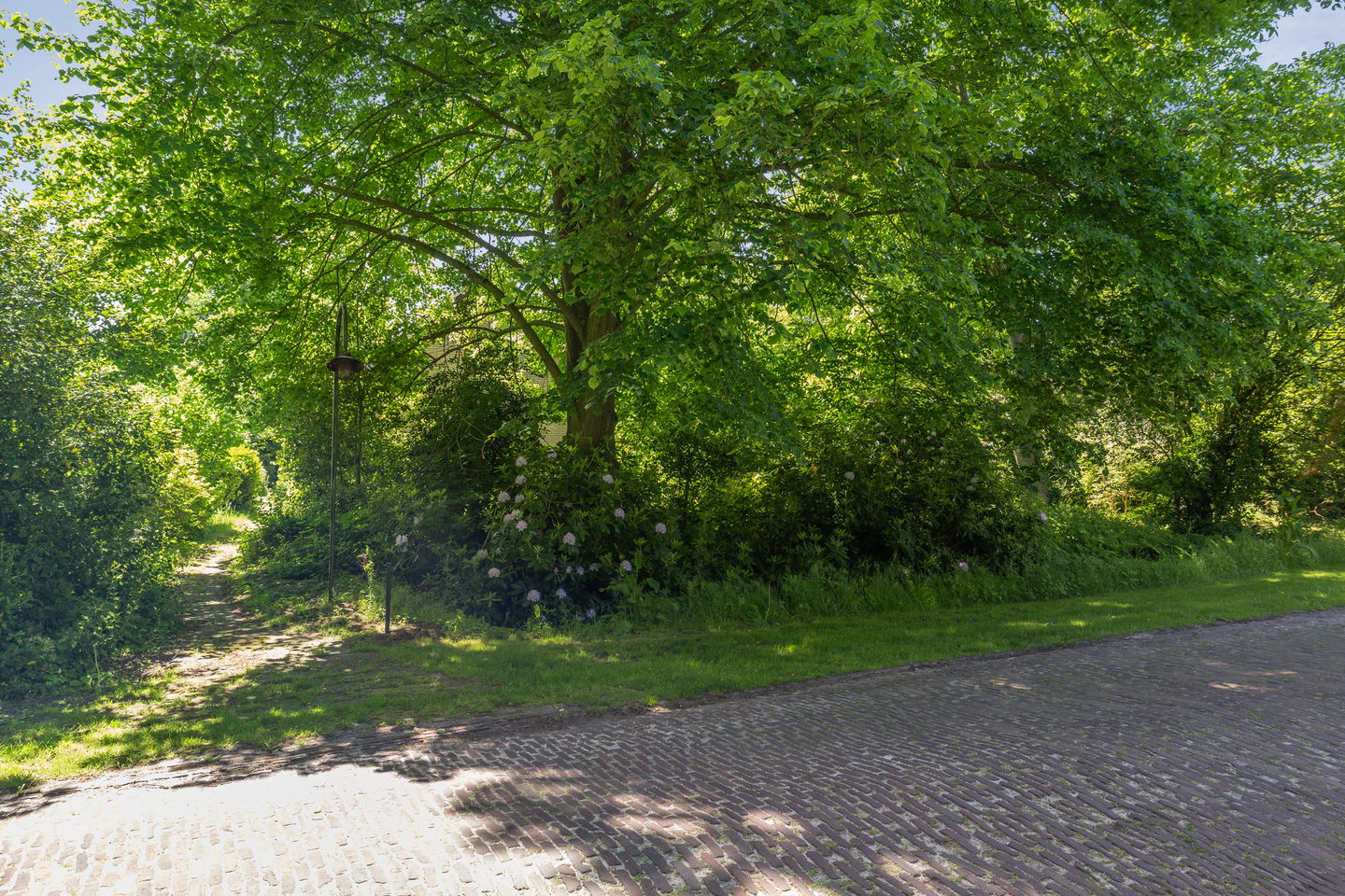 Photo 89 of Berkenlaan 18