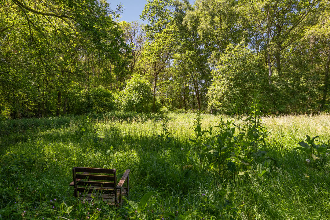 Photo 77 of Berkenlaan 18