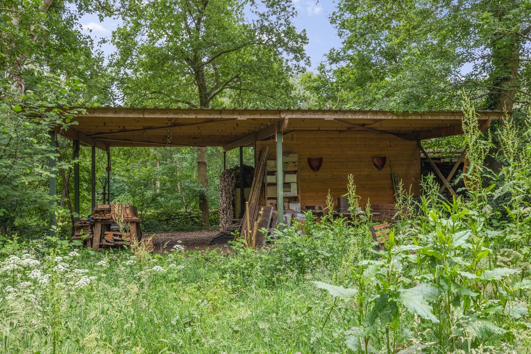 Photo 83 of Berkenlaan 18