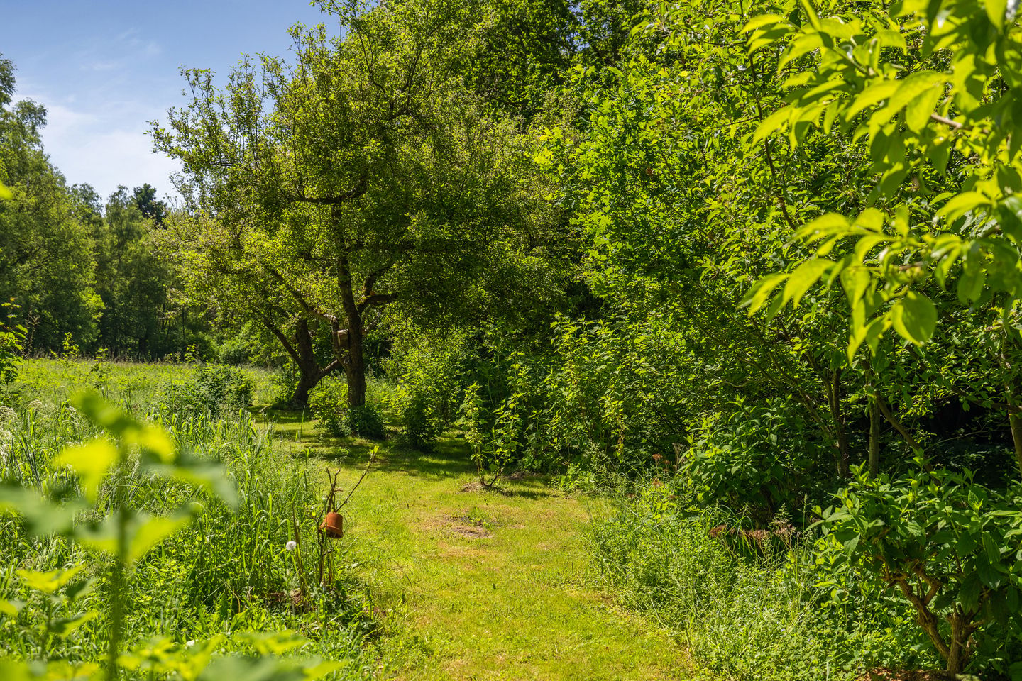 Photo 55 of Berkenlaan 18