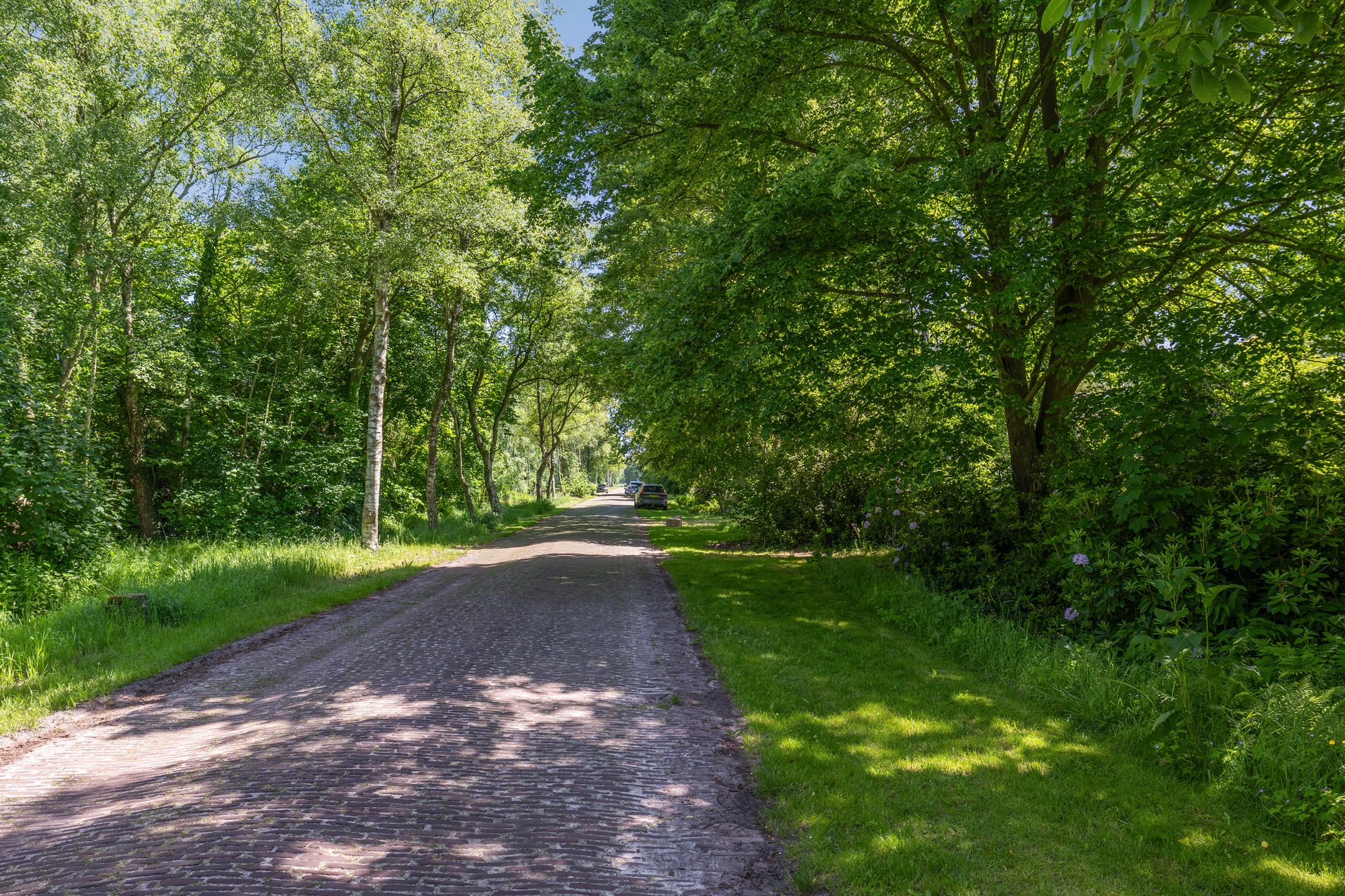 Photo 90 of Berkenlaan 18