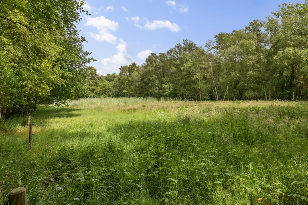 Photo 73 of Berkenlaan 18