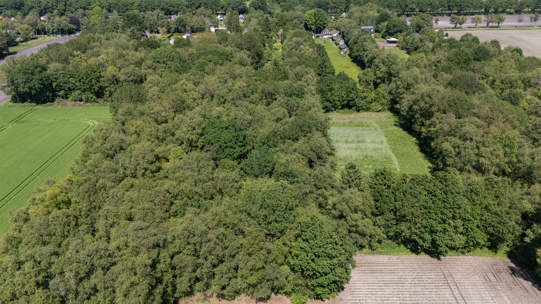 Photo 92 of Berkenlaan 18